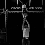 acrobatics in the circus